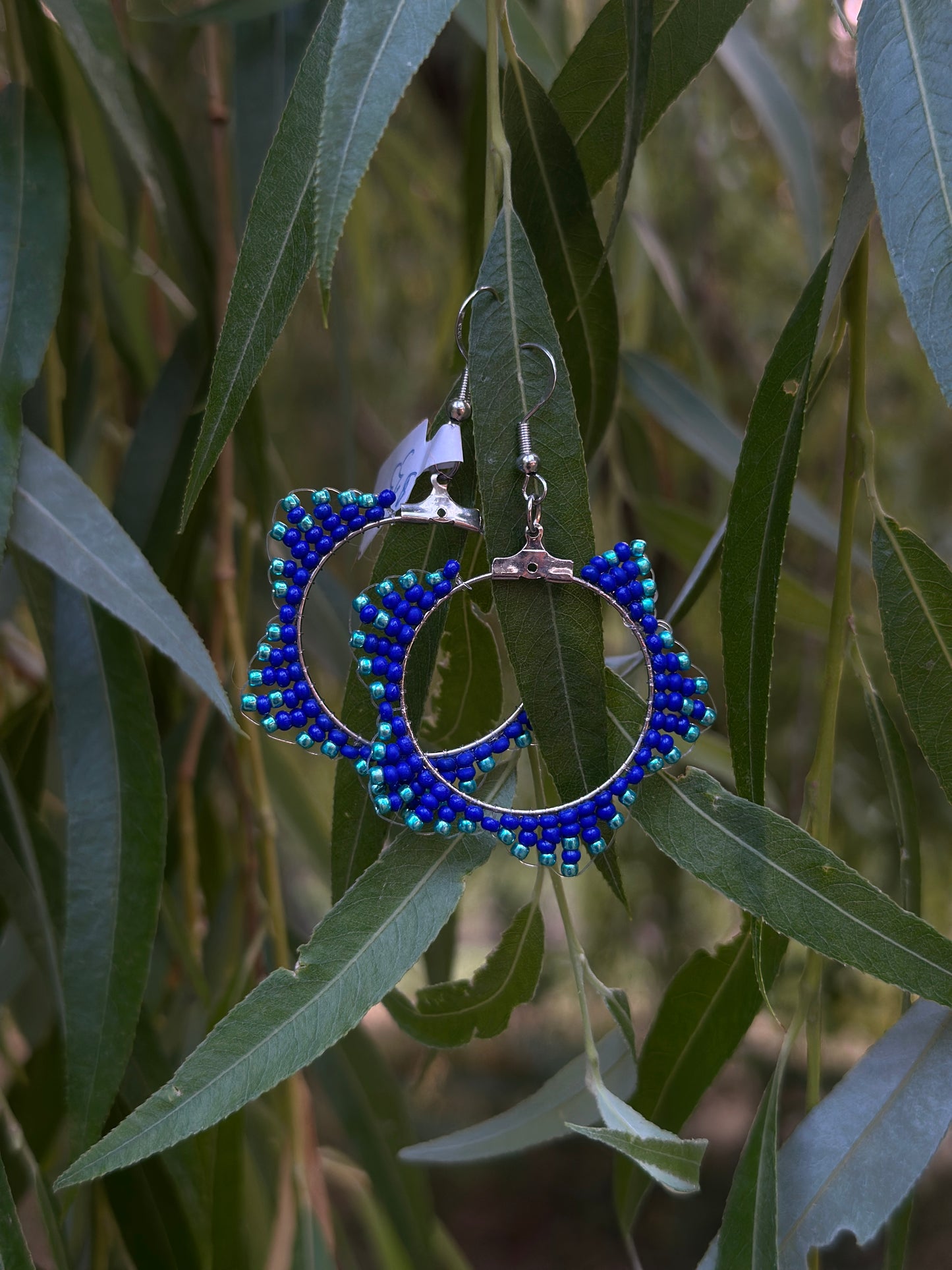The Luna